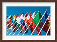 Framed International Flags