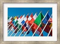 Framed International Flags