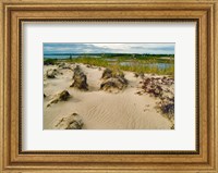 Framed Sandy Beach