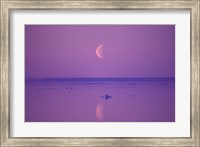 Framed Foxe Basin, Baffin Island