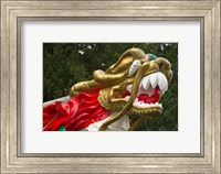 Framed Chinese Dragonboat