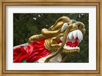 Framed Chinese Dragonboat