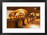Framed Oak Barrels in Cellar at Domaine Comte Senard