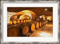 Framed Oak Barrels in Cellar at Domaine Comte Senard