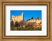 Framed Ruins of the Pope's Summer Castle in Chateauneuf-du-Pape