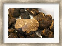 Framed Truffles at La Truffe de Ventoux Truffle Farm