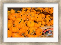 Framed Produce Market, Montreal, Quebec