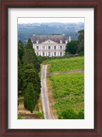 Framed Chateau de la Coulee de Serrant, Loire Valley