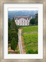 Framed Chateau de la Coulee de Serrant, Loire Valley