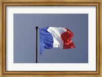 Framed French Flag