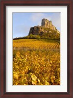 Framed Roche de Solutre above Vineyards, France