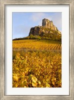 Framed Roche de Solutre above Vineyards, France
