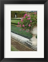 Framed Formal Gardens of Versailles, France