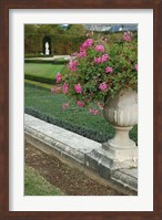 Framed Formal Gardens of Versailles, France