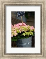 Framed Flowers For Sale