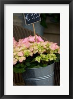 Framed Flowers For Sale