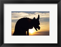 Framed Chimera of Notre Dame Cathedral at Sunset