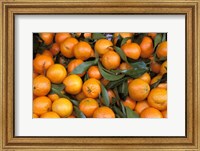 Framed Oranges, Nasch Market, Austria