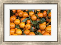 Framed Oranges, Nasch Market, Austria