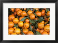 Framed Oranges, Nasch Market, Austria