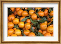 Framed Oranges, Nasch Market, Austria