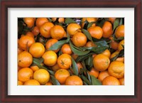 Framed Oranges, Nasch Market, Austria