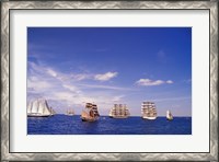Framed Tall Ships Race in Nova Scotia