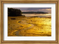 Framed Tide at Sunset on Campobello Island