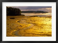 Framed Tide at Sunset on Campobello Island