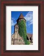 Framed Ivy-Covered Medieval Tower