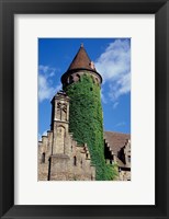 Framed Ivy-Covered Medieval Tower