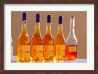 Framed Bottles of Disznoko Winery, Tokaj, Hungary
