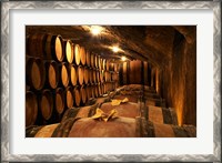 Framed Wooden Barrels with Aging Wine in Cellar