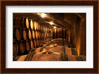 Framed Wooden Barrels with Aging Wine in Cellar