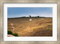 Framed Terraced Vineyards in the Cote Rotie District