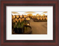 Framed Barrel cellar, Cote d Or, Burgundy, France
