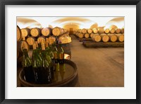 Framed Barrel cellar, Cote d Or, Burgundy, France