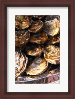 Framed Plate of Oysters, France