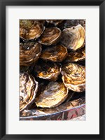 Framed Plate of Oysters, France