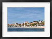 Framed Beach with Palm Trees Along Coast in Bandol, France