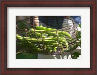 Framed Green Beans in Vegetable Garden