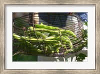 Framed Green Beans in Vegetable Garden