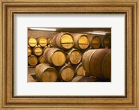 Framed Wine cellar, Alain Voge, France