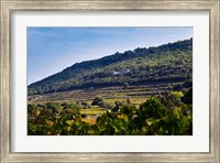 Framed Vacqueyras Vineyards, France