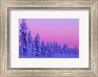 Framed Winter Sunset in Finland