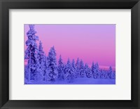 Framed Winter Sunset in Finland