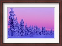 Framed Winter Sunset in Finland