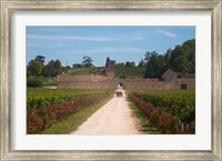 Framed Chateau Grand Mayne and Vineyard