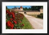 Framed Chateau Grand Mayne Vineyard and Roses