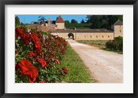 Framed Chateau Grand Mayne Vineyard and Roses
